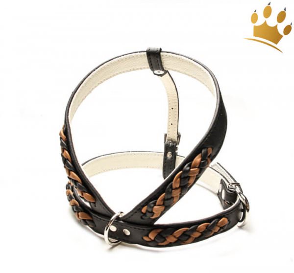 Hundegeschirr Empire Double Schwarz-Cognac