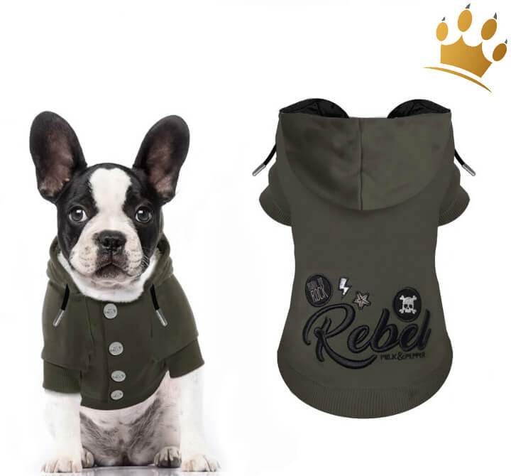 XXS Bedruckt Loch für Leine BedDog® Hoodie für Hunde Pullover mit Kapuze orange Sweater für Französische Bulldogge Jack Russell Terrier Parson York 
