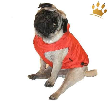Hundemantel La Cruze Rot