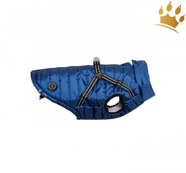 Hundewendemantel mit Geschirr Nikitita Blau