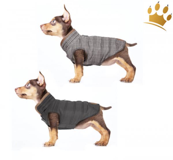 Milk & Pepper Hundemantel Cardfiff