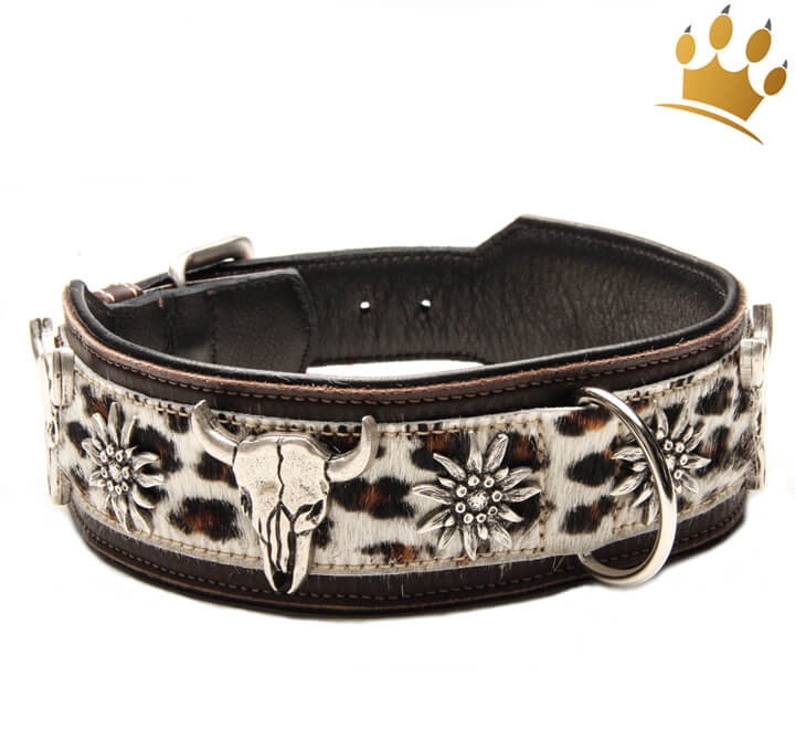 Hundehalsband Wild Leo - Hundehalsband Leder mit leoprint Kuhfell