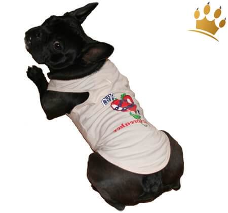 Hunde-Shirt Heartbreaker