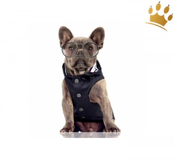 Milk & Pepper Hunderegenmantel Barbord Navyblau