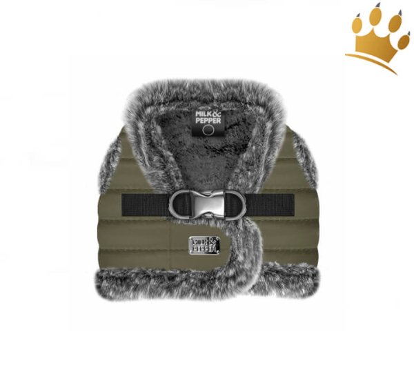 Milk & Pepper Felix Step In Hundegeschirr