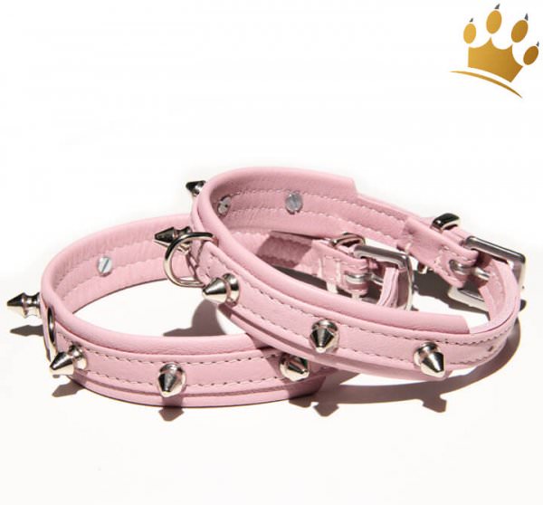 Hundehalsband Mini Spike Rosa