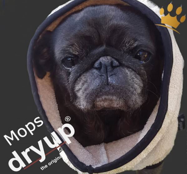 DryUp Bade-Cape Bademantel Mops Creme