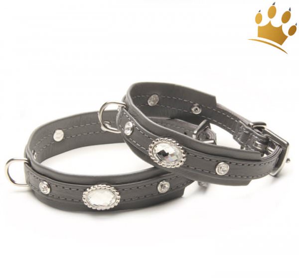Hundehalsband Grey Thunder Petit