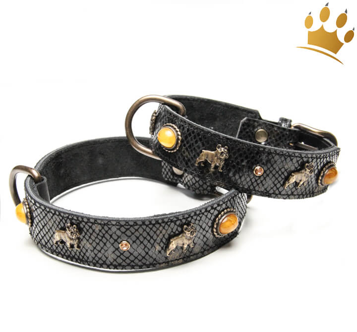 Motivhalsband franz. Bully Deluxe - Halsband franzsisch Bulldogge |  Motivhalsbnder | Hundehalsbnder | Halsband - Leine & Geschirr | Cani di  mondo - Onlineshop fr exklusives Hundezubehr