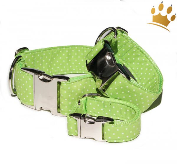 Hundehalsband Little Dotty Grün