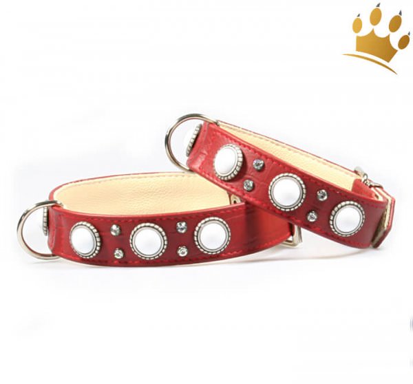 Hundehalsband Malaga Rot