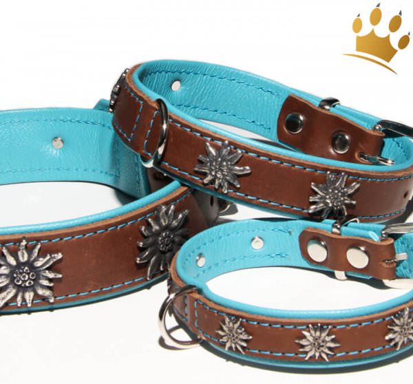 Hundehalsband Edelweiß Tirol Braun/Türkis