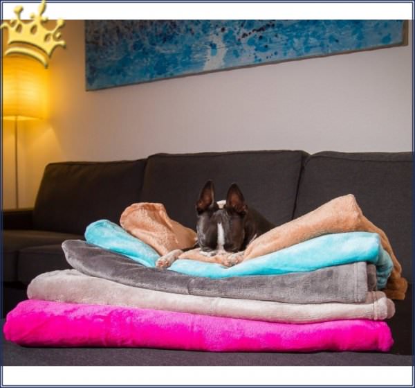 Hundefleecedecke Dog & Cat alle