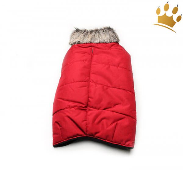 Hundeparka Saas-Fee Mops & Co. Rot