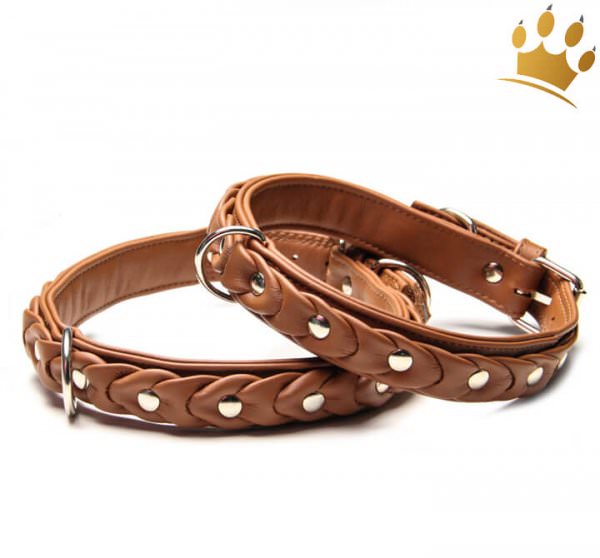 Hundehalsband Ascot de Luxe