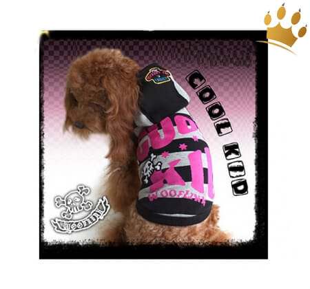 Wooflink Hunde-Shirt Cool Kid