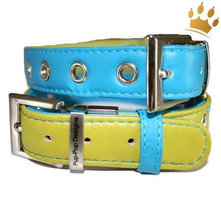 Hundehalsband PuP-PuP TM Türkis/Green
