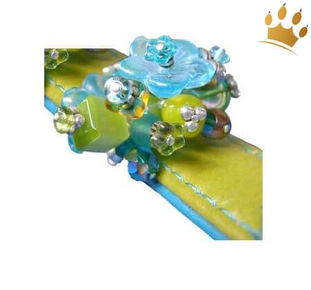 PuP-PuP TM Cha Cha's green