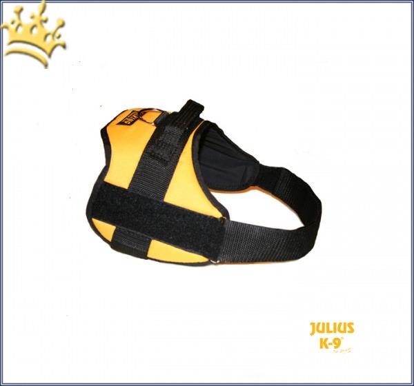 Julius-K9® Talking Power Pro maisgelb