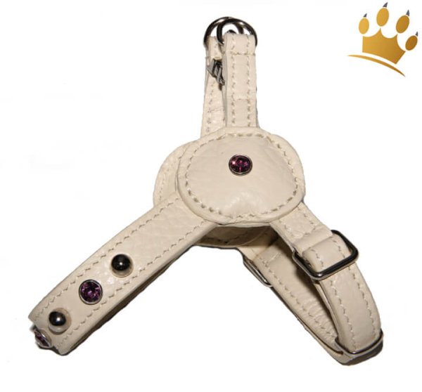 Malucchi Hundegeschirr Movie Bright Creme