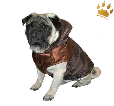 Hundemantel Dakota Schoko