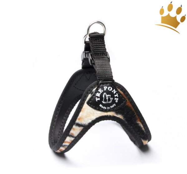 Tre Ponti Hundegeschirr Afrika Tiger