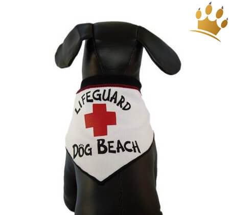 Hundebandana Lifeguard