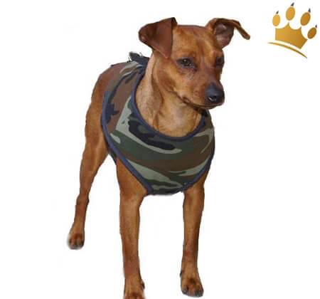 Softbrustgeschirr Swat