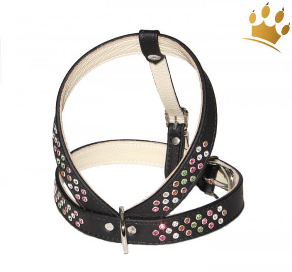 Ledergeschirr Avelino Tre Colori Schwarz