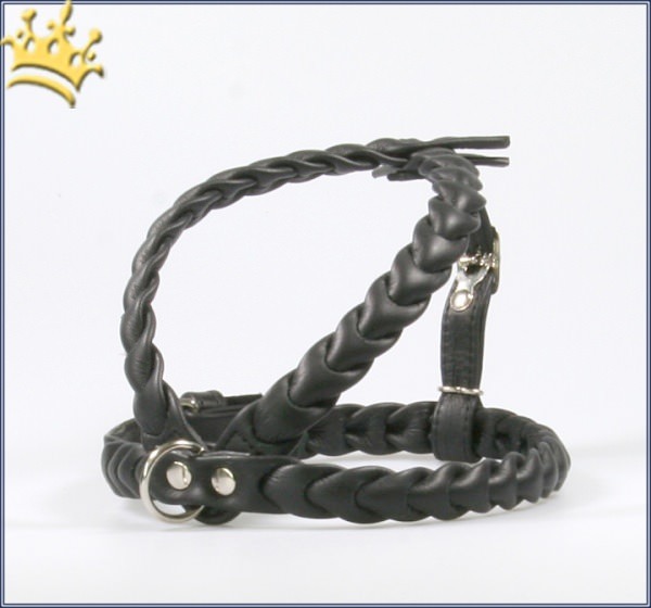 Leder-Hundegeschirr Ascot Schwarz