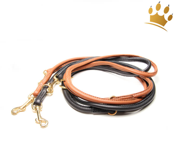 MICHUR Diego Hundeleine Aus Leder – Beige, 150 Cm Lang, 2,5 Cm Breit, Mit Goldapplikation, Handgefertigt