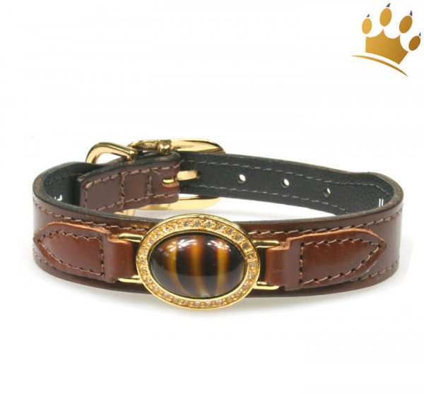 Hundehalsband Agadir Chocolate vergoldet