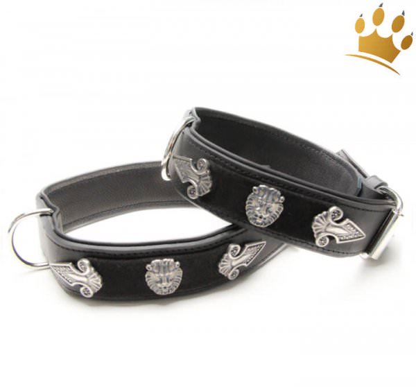 Hundehalsband Lion Selvaggio Black